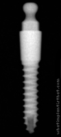 Radiograph of Osstem MS Denture 4.0mm G/H